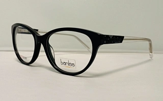 BANISS 5084 C01